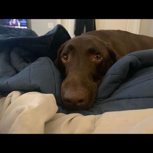 Meet your Posher, Katherine